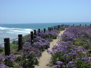 Del Mar Estate Most Expensive Home in San Diego