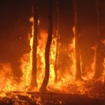 How To Come Up With an Emergency Wildfire Plan
