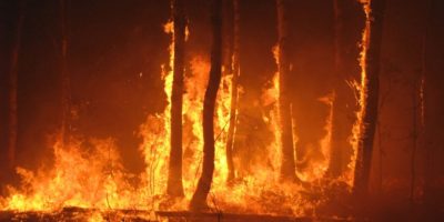 How To Come Up With an Emergency Wildfire Plan