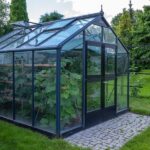 Why You Should Buy a Freestanding Greenhouse