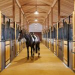 Tips for Hosting a Successful Equestrian Event