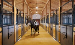 Tips for Hosting a Successful Equestrian Event