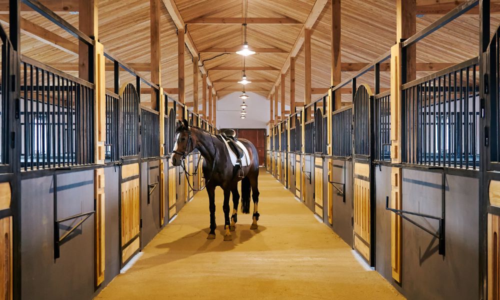 Tips for Hosting a Successful Equestrian Event