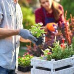 Becoming a Plant Parent: How To Grow Your Garden
