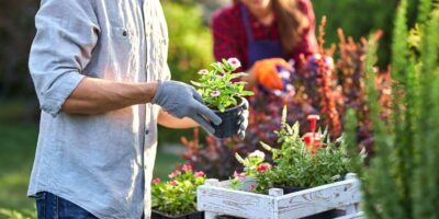 Becoming a Plant Parent: How To Grow Your Garden