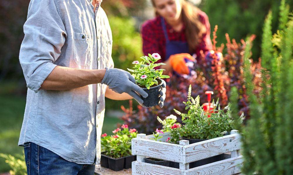 Becoming a Plant Parent: How To Grow Your Garden