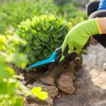 Home Improvement Tips: Staying Safe While Doing Yard Work