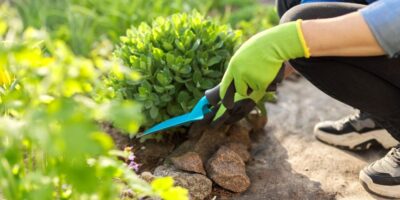 Home Improvement Tips: Staying Safe While Doing Yard Work