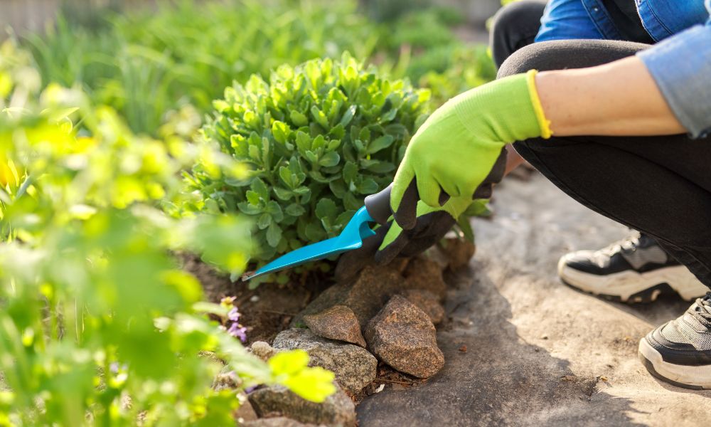 Home Improvement Tips: Staying Safe While Doing Yard Work