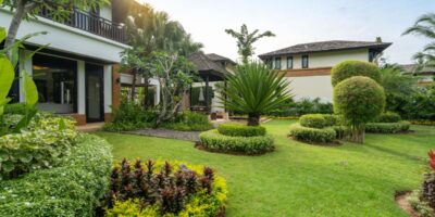 The backyard space of a white house. There are a variety of plants and trees that cover the well-trimmed lawn.