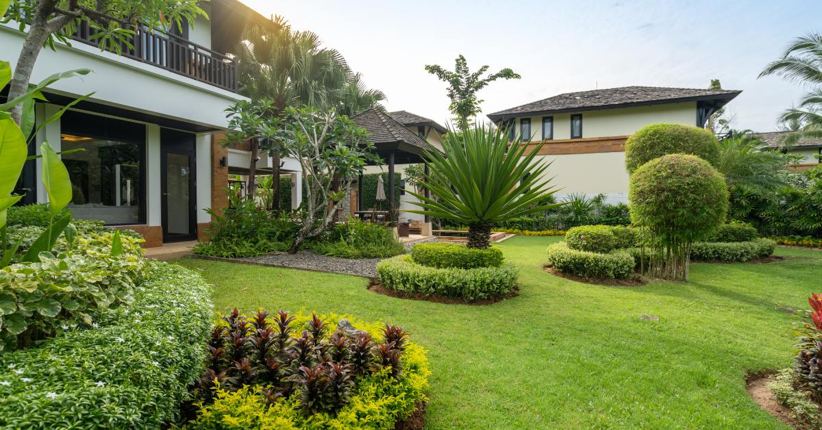 The backyard space of a white house. There are a variety of plants and trees that cover the well-trimmed lawn.