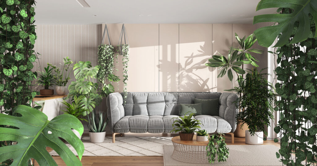A room with a gray couch, multiple rugs, and countless plants—some hanging, others placed in pots on the floor or on tables.