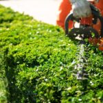 A landscaper trimming a bright green hedge with a powered hedge trimmer in a manicured garden setting.