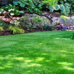 How to Make an Artificial Grass Lawn Look Luxurious A green artificial lawn bordered by leafy garden plants, shrubs, mulch, and trees in a small backyard garden.