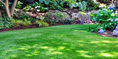 A green artificial lawn bordered by leafy garden plants, shrubs, mulch, and trees in a small backyard garden.