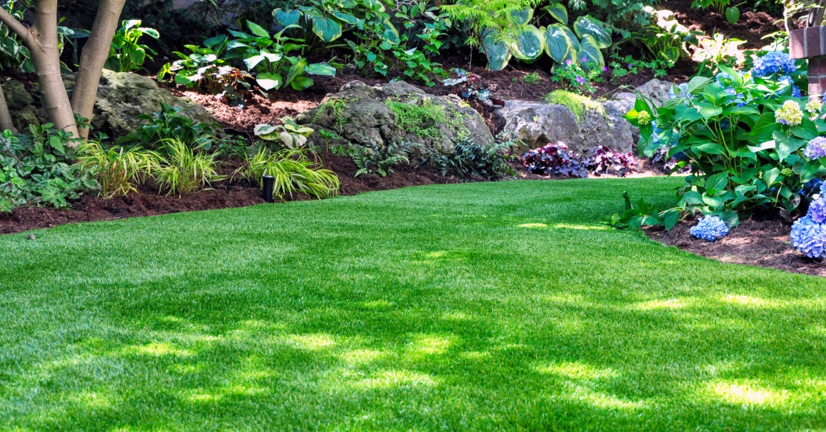 A green artificial lawn bordered by leafy garden plants, shrubs, mulch, and trees in a small backyard garden.
