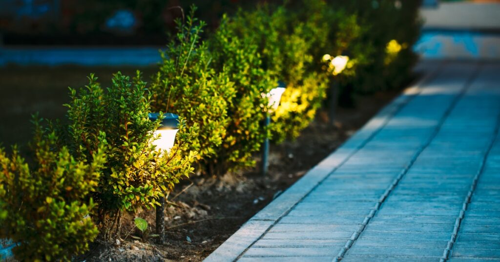 A paved walkway beside low green shrubs and small outdoor lights glowing along a flowerbed at night.