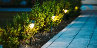 A paved walkway beside low green shrubs and small outdoor lights glowing along a flowerbed at night.